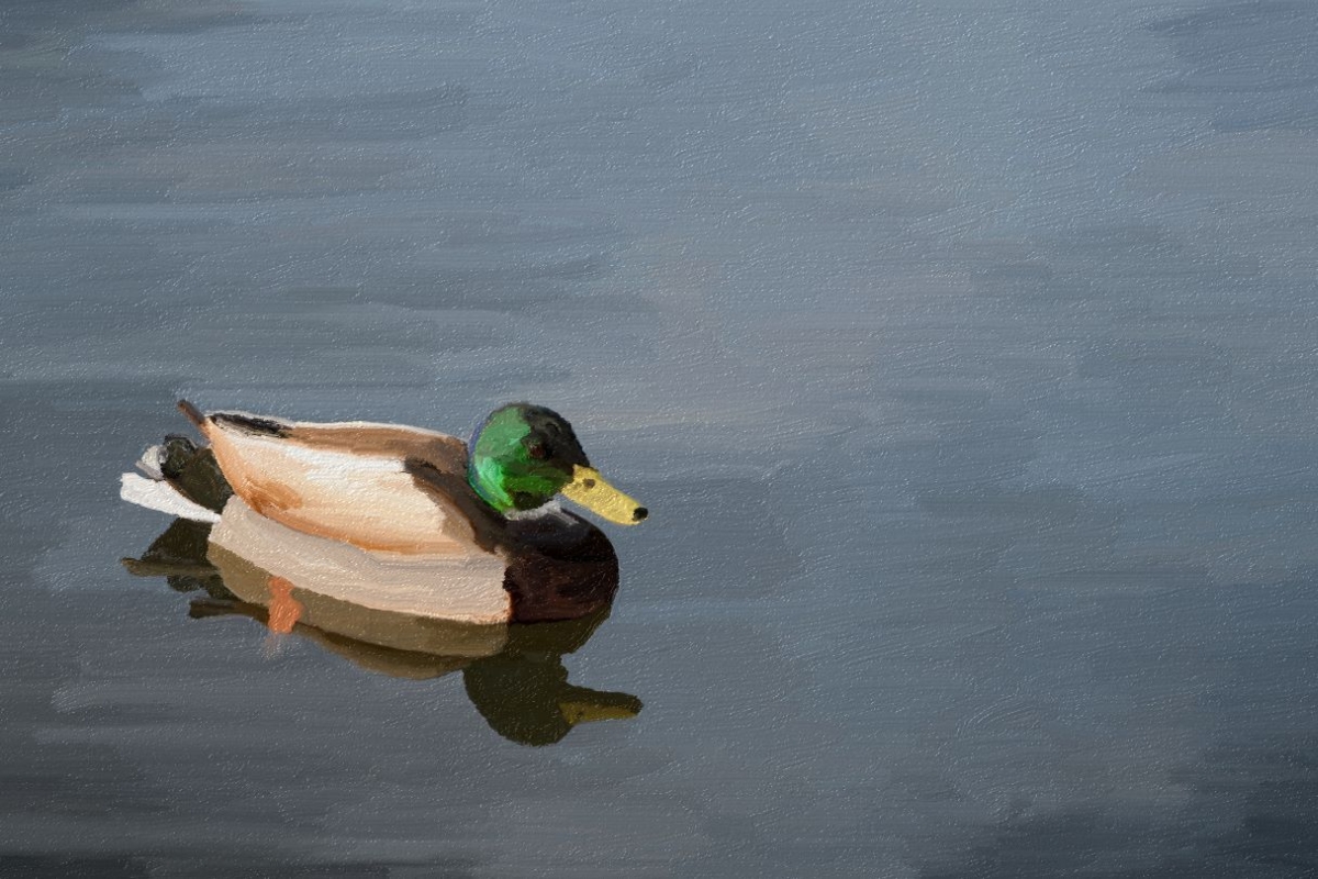 Radu ILIE - I Can't Paint 002