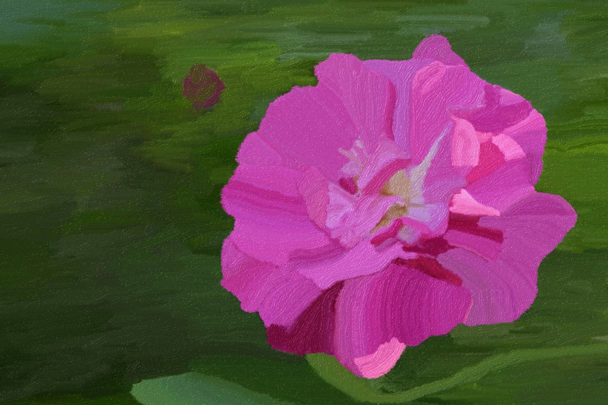 Radu ILIE - I Can't Paint 003