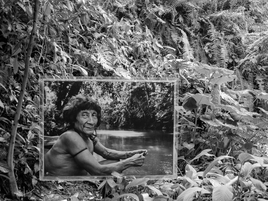 Radu ILIE - Old Earth Museum. Spring, 3023